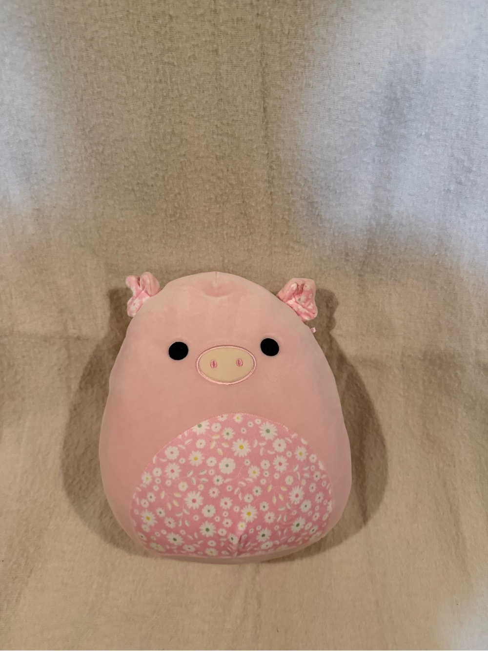 Easter pig squishmallow